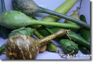 2012佛山安全食用农产品博览会 构建零售新桥梁，守护舌尖上的安全