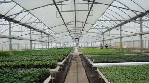 苏州市首张食用农产品电子合格证在常熟正式启用，开启零售新篇章