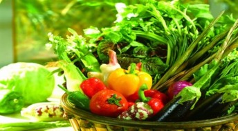 深圳 健全食用农产品质量可追溯体系，为市民打造放心消费环境