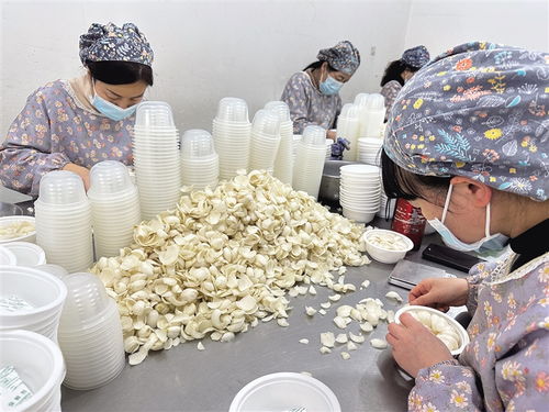 兰州百合 零售端走俏，种植端承压——食用农产品零售市场调查