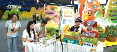 年中经济观察 电商成为农民致富“金钥匙”，为乡村振兴注入强劲动能