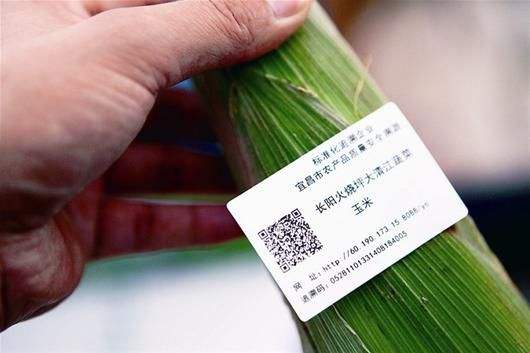 蔬菜二维码追溯系统 让食用农产品零售全程可查可信